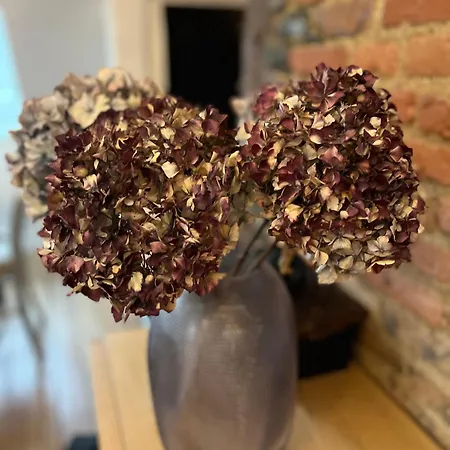 아파트 De Charme Au Coeur De
